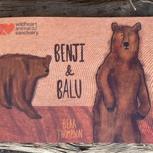 Benji and Balu Book