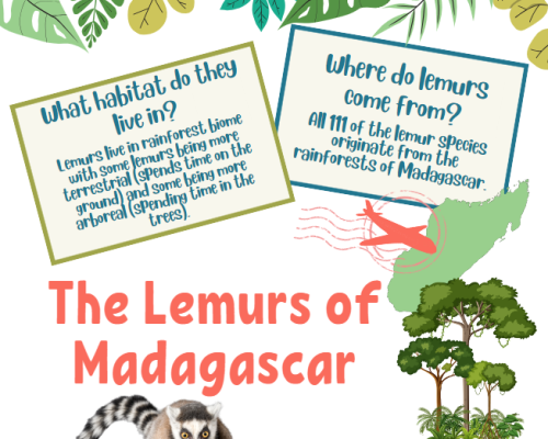 Lemur Fact Sheets