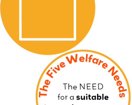 Animal Welfare Needs Cards