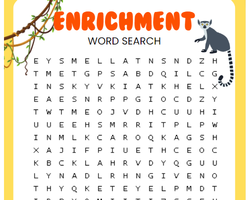 Enrichment Word Search