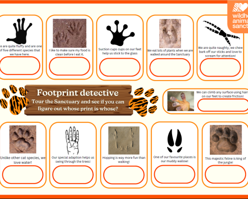 Tracks & Trails Sheets