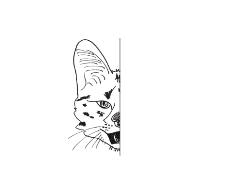Mirror Image – Serval