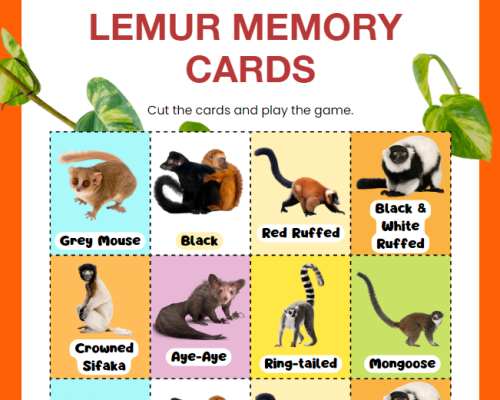 Lemur Memory Pair Game